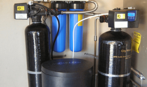 Decaying organic matter